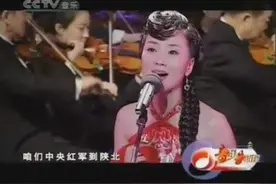 唱的了《夜来香》也能唱《山丹丹花开红艳艳》张燕图片