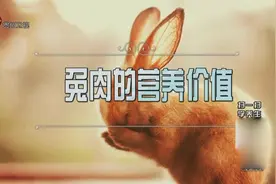 兔肉为何被称为“长寿肉”你知道吗？它属温性食物可去除燥热视频封面