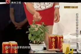 儿童鼻子不通气怎么办？将薄荷揉过后塞进鼻孔里分分钟变轻松视频封面