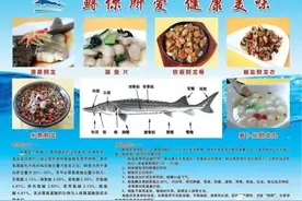舌尖上的鲟鱼宴，N种吃法，小编惊呆了！图片