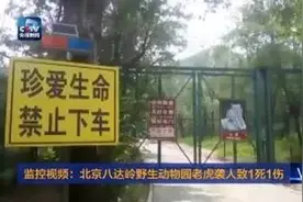 武松打虎别传：好奇害死猫 任性害死人图片