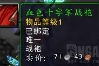 裁坏的血色十字军战袍：2W5金币黑你没商量图片