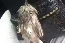幽默笑话  一老汉见儿媳很漂亮起了歪心图片