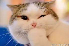 假如马云给你一个亿让你吃一坨屎，你愿意吗？太精辟图片