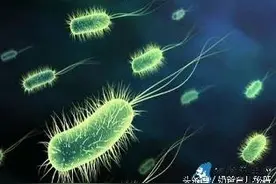 妈妈这里的细菌对宝宝特有益，宝宝越吃多越健康！图片