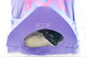 用旧T恤DIY自己动手做简单有趣的猫窝帐图片