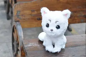不是毛绒玩具，是！同！伴！（好中二）图片
