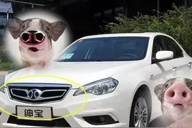 真是为奇葩的国产车标操碎了心啊，设计师们麻烦走点心啊！图片