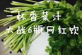测评香菜配咖啡味道如何？这些丧心病狂的味道我劝你最好别尝图片