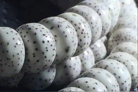 新人如何入门星月菩提子？（盘玩篇）图片