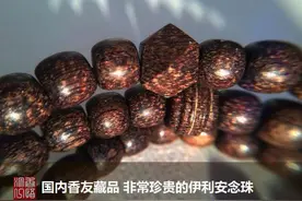 印尼沉香的那些幕后英雄 附赠熏材和线香-沉香基础知识21图片