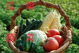 那一刻思念：南瓜，你不知道的秘密图片