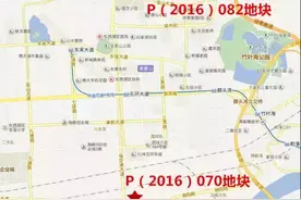 武汉土拍又诞双地王 东西湖楼面价已破万图片