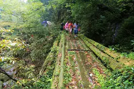 语文课《未选择的路》 林中分为两条路 走上哪条都决定你的一生图片