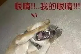 开车遇到乱打远光灯的行为  这几种做法让他下次不敢再犯！图片