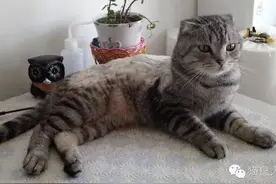 一个不完整的我还怎么去爱你图片