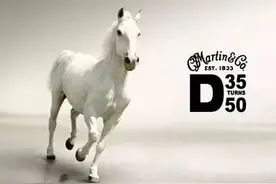 从Martin吉他开始，说一说马图片