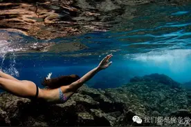 为什么例假用棉条就可以下水游泳？图片