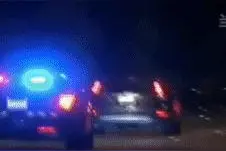 一家人在美国自驾游上演一场现实版追逐战？！图片