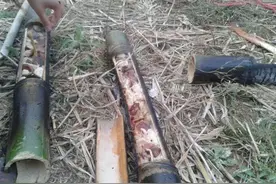 乡村竹筒腊肉饭是秋季的最佳美食图片