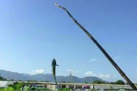 美女钓鱼！玩得开心就好！图片