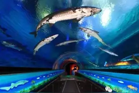 株洲将建海洋公园！明年12月前，株洲人就能在家门口“看海”了图片
