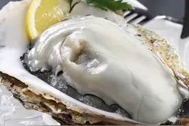 广州美食｜法国顶级的生蚝是什么味道的？图片