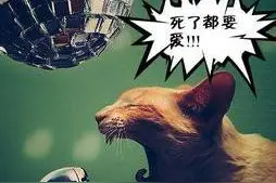 KTV里“奇葩人类”你见过几种？ 有种想“手撕”的冲动图片
