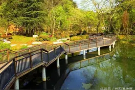校园怪谈之眼见为尸图片