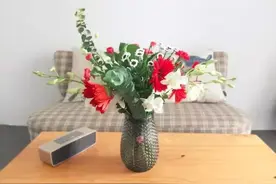 what？家里的瓶子要跟鲜花去私奔！图片