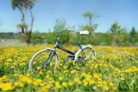 为什么老师们都不愿意教课图片