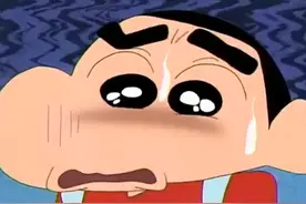 各种各样的小新哦图片
