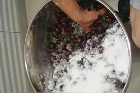 桂葡1号葡萄用来酿酒，加多少糖合适？想喝酒精度高的酒图片