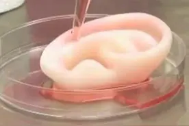 3D细胞打印 “私人订制”器官图片