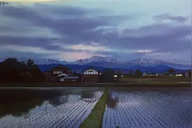 参与《怪物之子》的经历 - 专访动画美术刘雨轩（六）图片