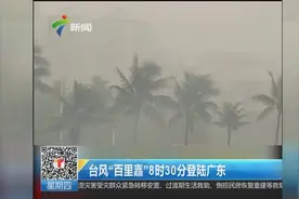 台风“百里嘉”登陆广东 狂风大作视频封面
