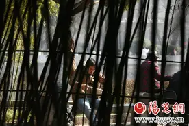 今年西安“三九”不冷“四九”冷 20日可能有降雪图片