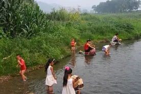 农村小河里的三种美味，你抓过吗？图片
