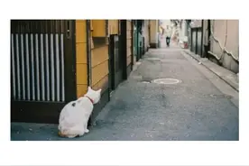 喜欢你的人，你怎样都行图片