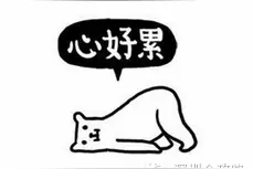 贵！贵！贵！深圳这些土豪车牌号你可能一辈子都买不起！图片