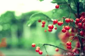觉得很feel的句子，值得一看图片