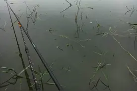夏末暴雨过后，水库垂钓的利与弊图片