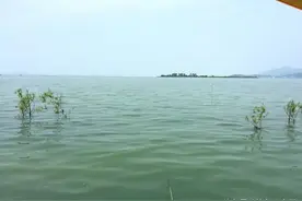 半月有余没玩了~~今天太湖鲤鱼狂拉图片