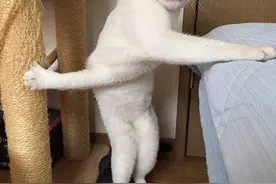你是否有一个陪你二的朋友| 幽默搞笑GIF图片