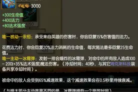 盘点lol中比较冷门的道具图片