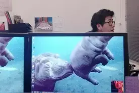 办公室里出了个逗比，老板骂得就少了图片