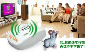 在哪里买超声波驱鼠器？图片