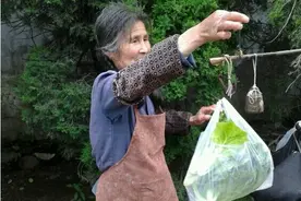 80多岁农村老奶奶卖菜，买的人都不还价.......图片