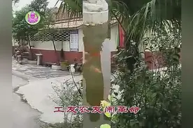 150首经典红歌大联唱(七)图片