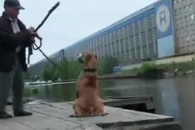 狗狗把主人拉下了水！图片